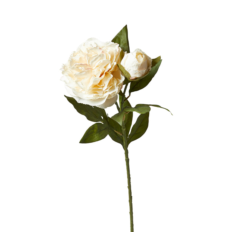 Pæon stilk H 69 cm creme