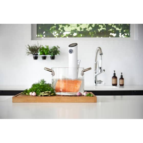 Witt Easy Sous Vide (hvid)
