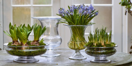 Hvem er hjemogbord.dk?