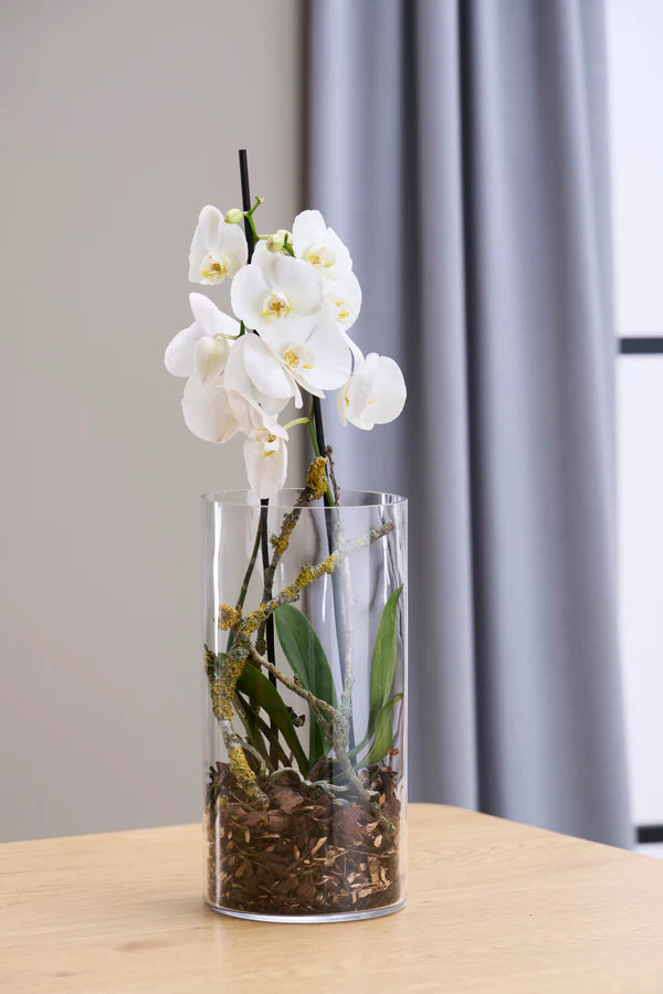 Day Vase Cylinder Ø15 x H30 cm