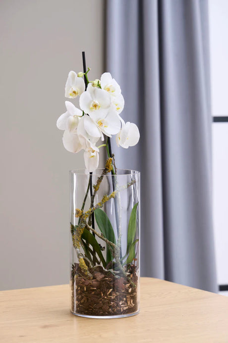 Day Vase Cylinder Ø15 x H30 cm