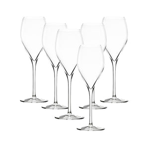 Stölze Prestige champagneglas 210 ml 6 stk.
