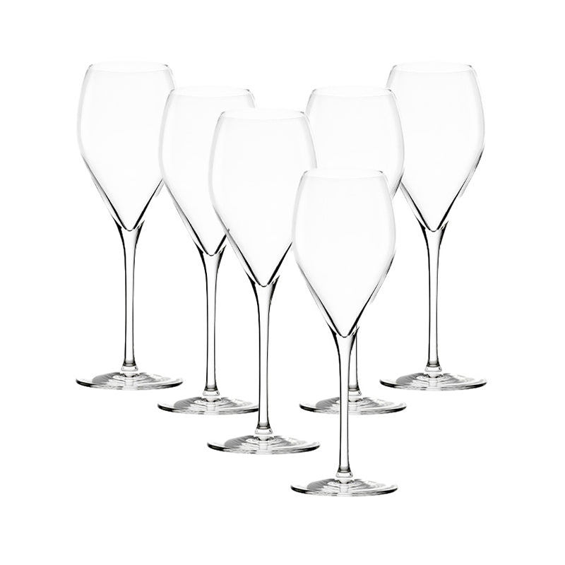 Stölze Prestige champagneglas 210 ml 6 stk.
