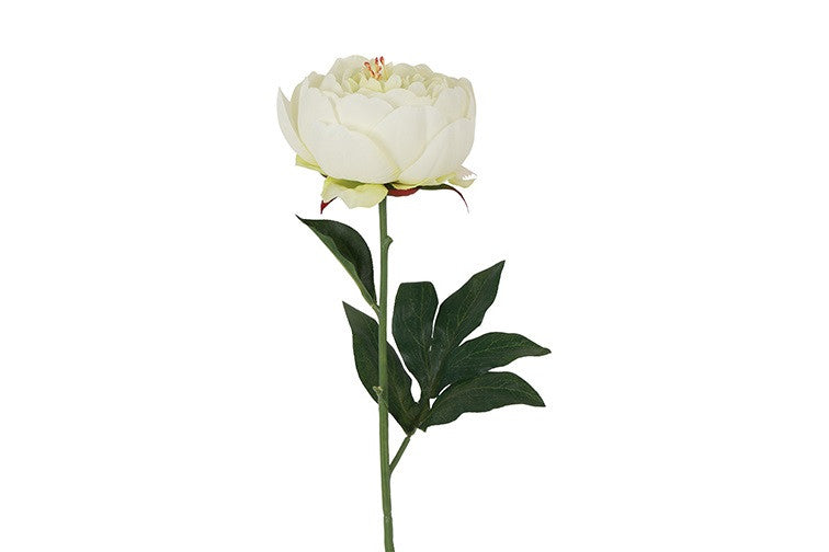 Kunstig Pæon Hvid H48 cm