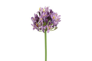 Kunstig Agapanthus Lilla H70 cm