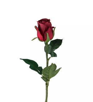 Rose rød