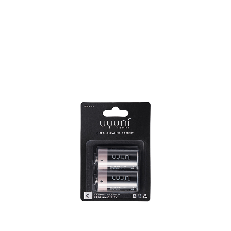 Uyuni C Batterier 1,5V 2stk