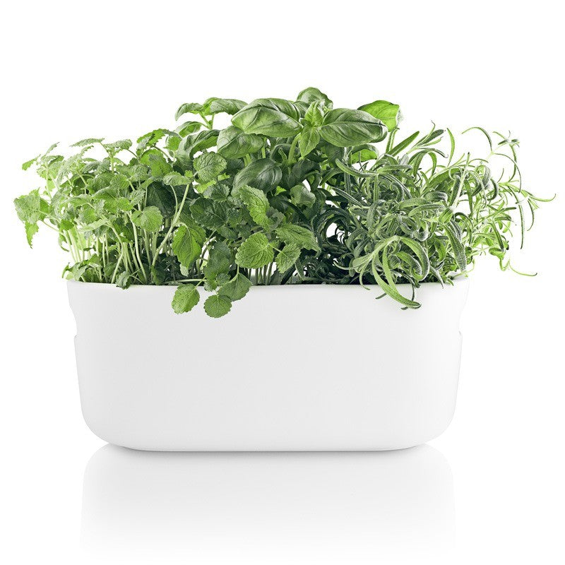 Eva Solo selvvandende herb organiser - hvid