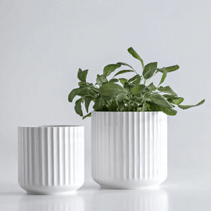 Lyngby Urtepotte 14 cm, Hvid