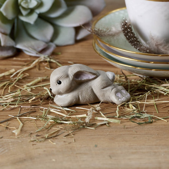 Klarborg Harekilling Ninus